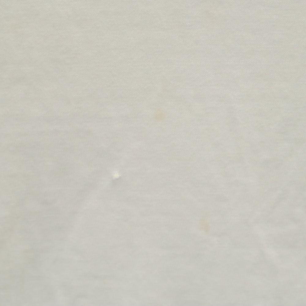 Hanes ヘインズ 90s USA製 オールド 長袖 シングルステッチ Tシャツ XL ホワイト BEEFY-T ロンT メンズ