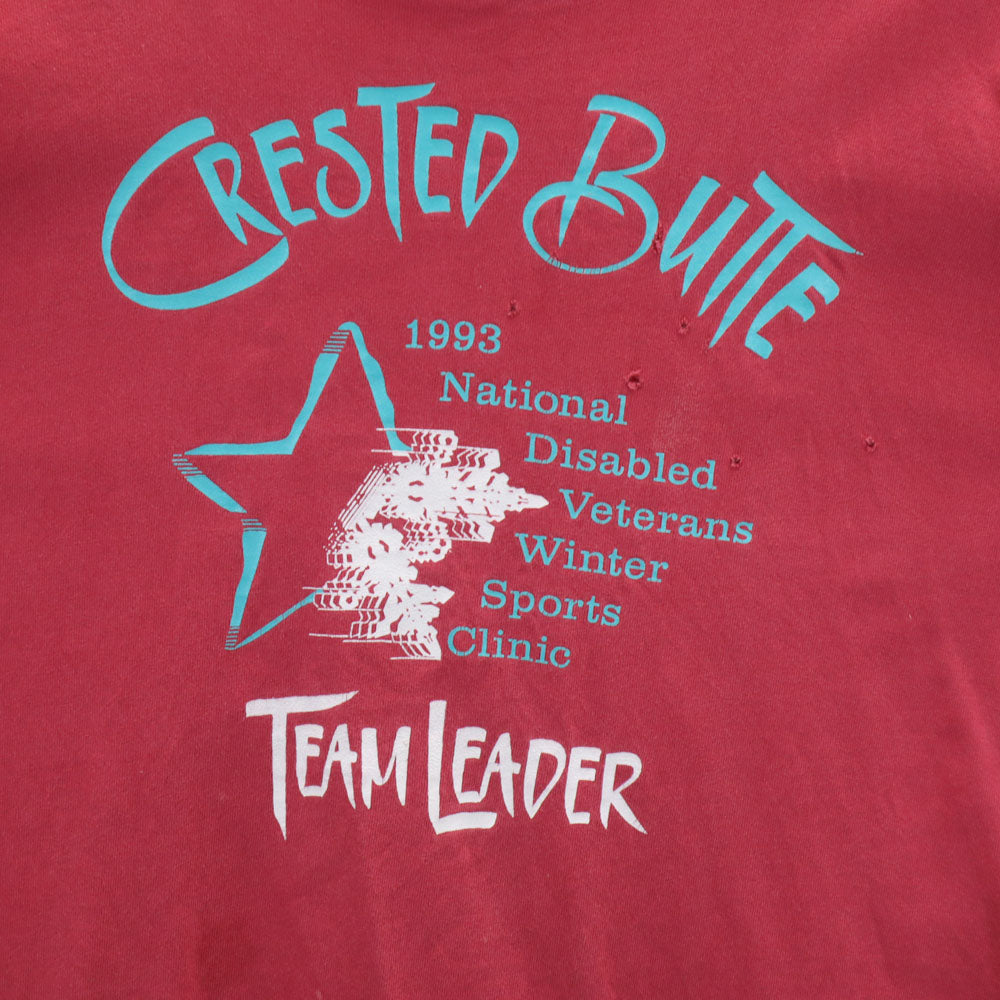 anvil アンヴィル 90s USA製 オールド 長袖 シングルステッチ Tシャツ L ピンクレッド系 ロンT メンズ