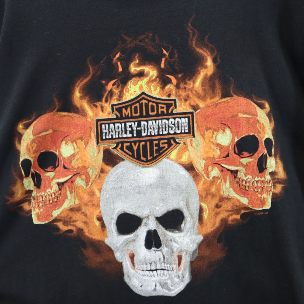 HARLEY DAVIDSON ハーレーダビッドソン 00s スカル 長袖 Tシャツ M ブラック ロンT メンズ