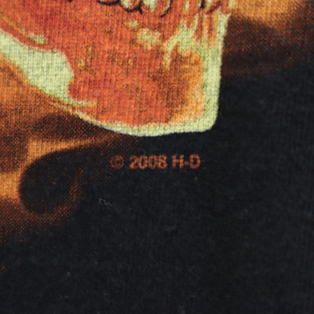 HARLEY DAVIDSON ハーレーダビッドソン 00s スカル 長袖 Tシャツ M ブラック ロンT メンズ