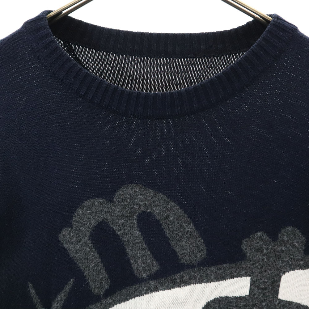 ルーニー・テューンズ ダフィーダック 長袖 セーター 濃紺 ニット メンズ