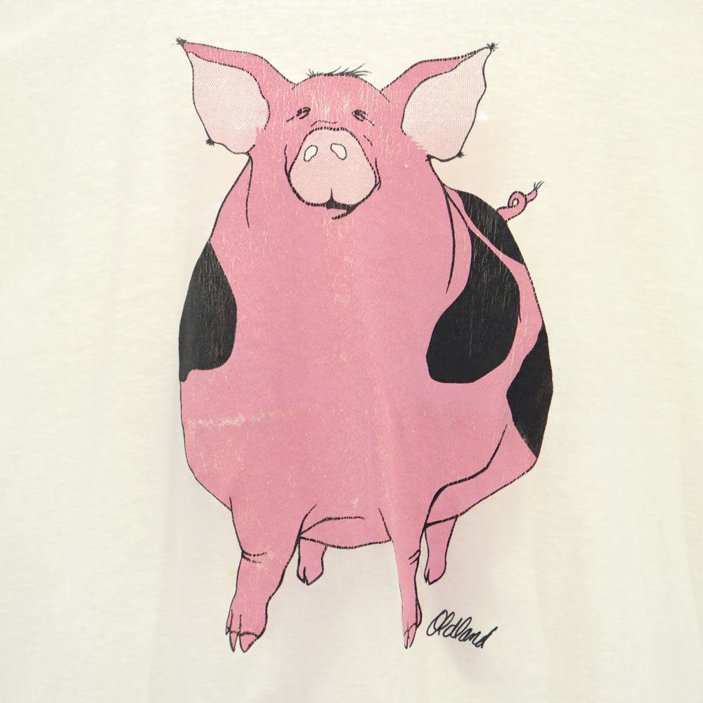 FRUIT OF THE LOOM フルーツオブザルーム 90s オールド 両面プリント 半袖 Tシャツ XL 白 メンズ