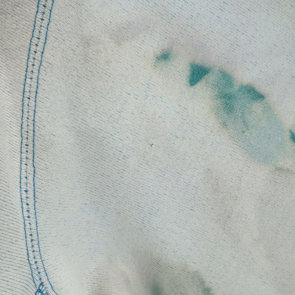 Champion チャンピオン 90s リバースウィーブ USA製 オールド 刺繍タグ ブリーチ加工 長袖 スウェット トレーナー XL グリーン系 裏起毛 メンズ