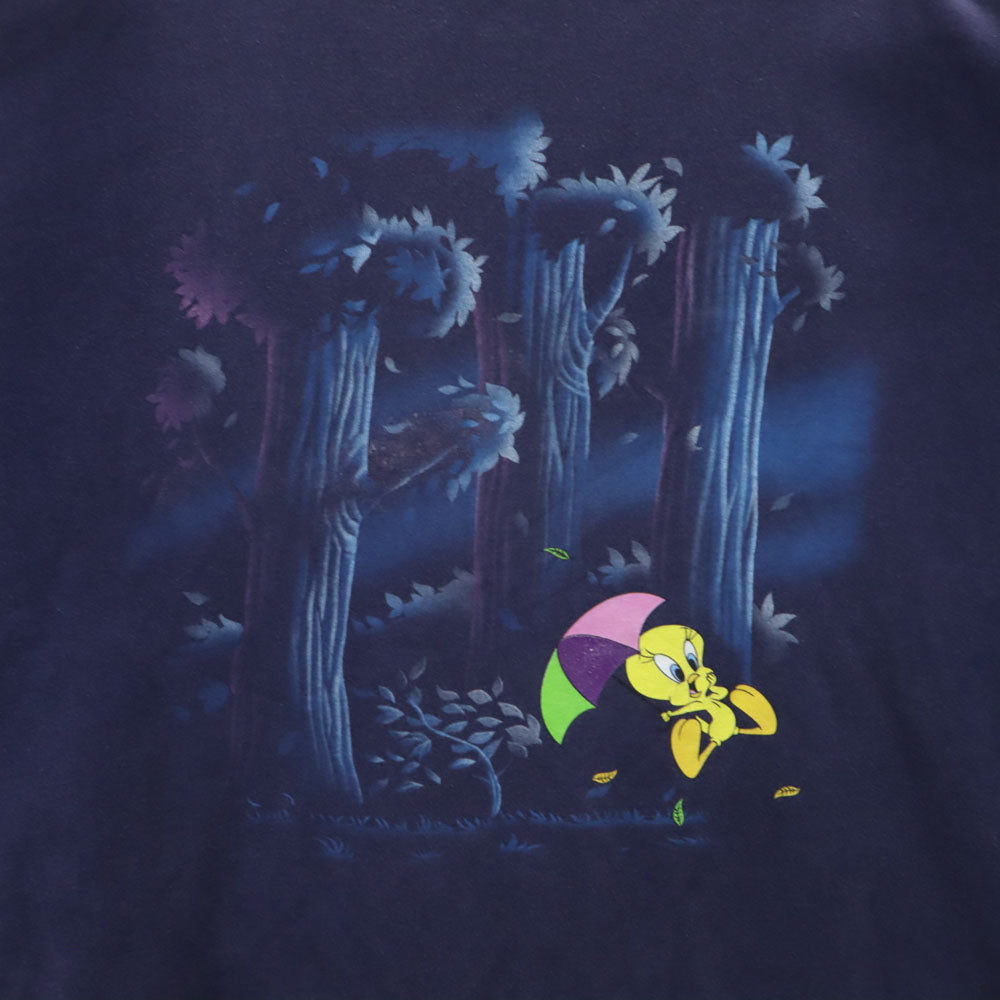 LOONEY TUNES ルーニーテューンズ 90s オールド 長袖 スウェット トレーナー 22W/24W ネイビー トゥイーティー 裏起毛 メンズ