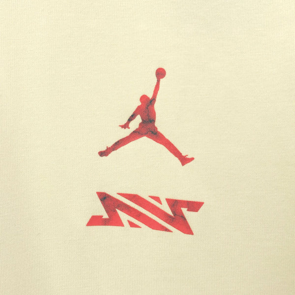 美品 ジョーダン バックプリント 半袖 Tシャツ M ベージュ系 JORDAN NIKE メンズ