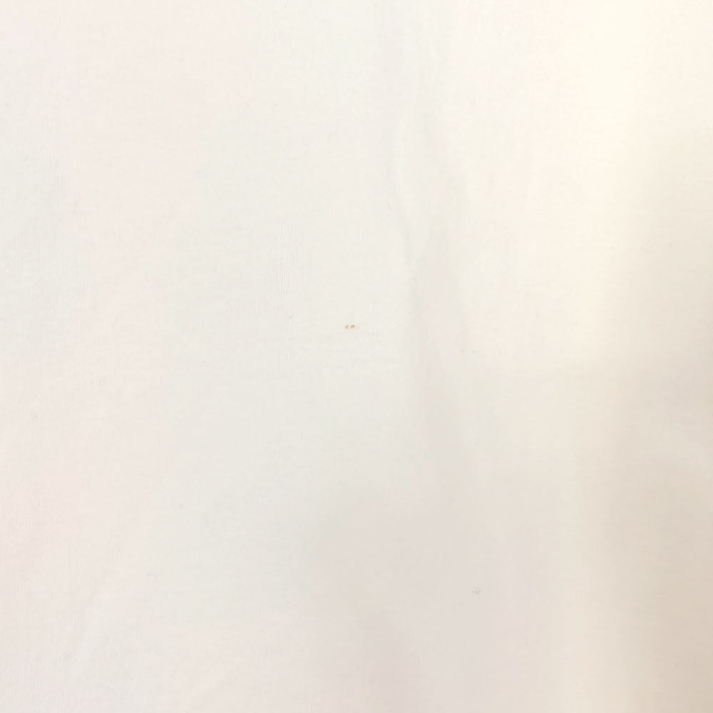 ナイキ プリント 半袖 Tシャツ XXL ホワイト NIKE ビッグサイズ メンズ