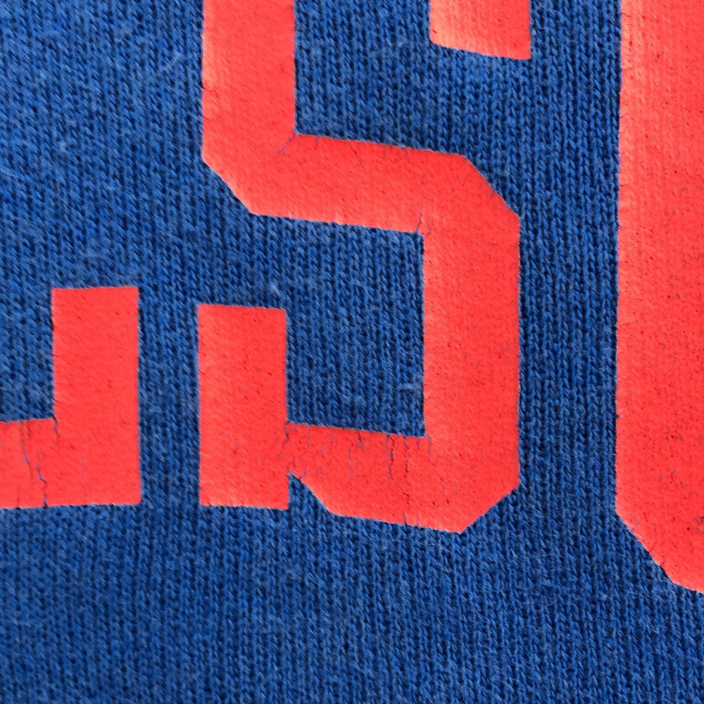 Hanes ヘインズ 80s USA製 プリント 長袖 スウェット トレーナー M ブルー 裏起毛 オールド ヴィンテージ メンズ