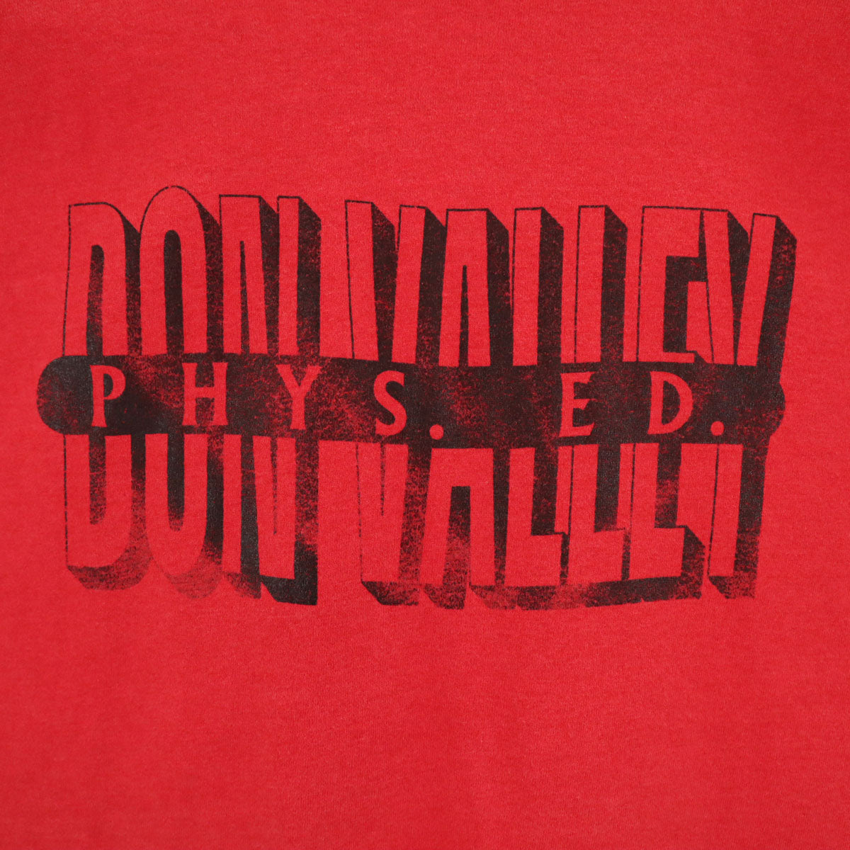 FRUIT OF THE LOOM フルーツオブザルーム 90s オールド 半袖 Tシャツ XL レッド シングルステッチ メンズ