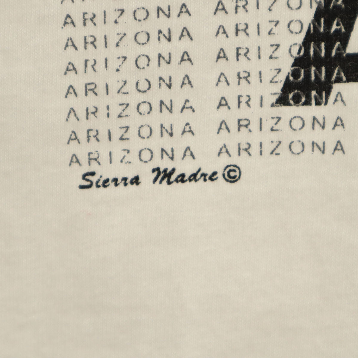 半袖 Tシャツ 白 シングルステッチ メンズ