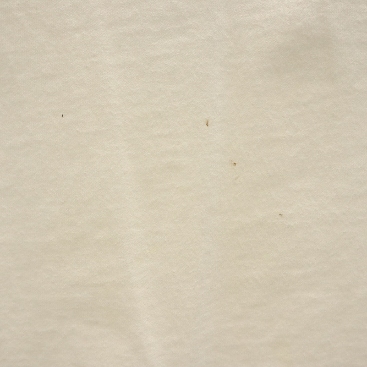 The Aussie T Company 90s USA製 オールド 半袖 Tシャツ XL 白 シングルステッチ メンズ