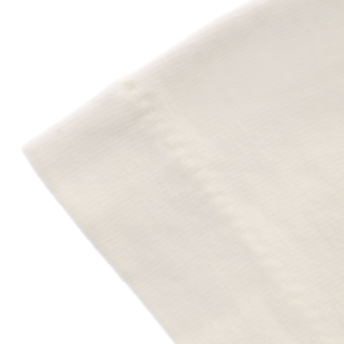 FRUIT OF THE LOOM フルーツオブザルーム 90s USA製 オールド MAINE 半袖 Tシャツ L ホワイト シングルステッチ メンズ