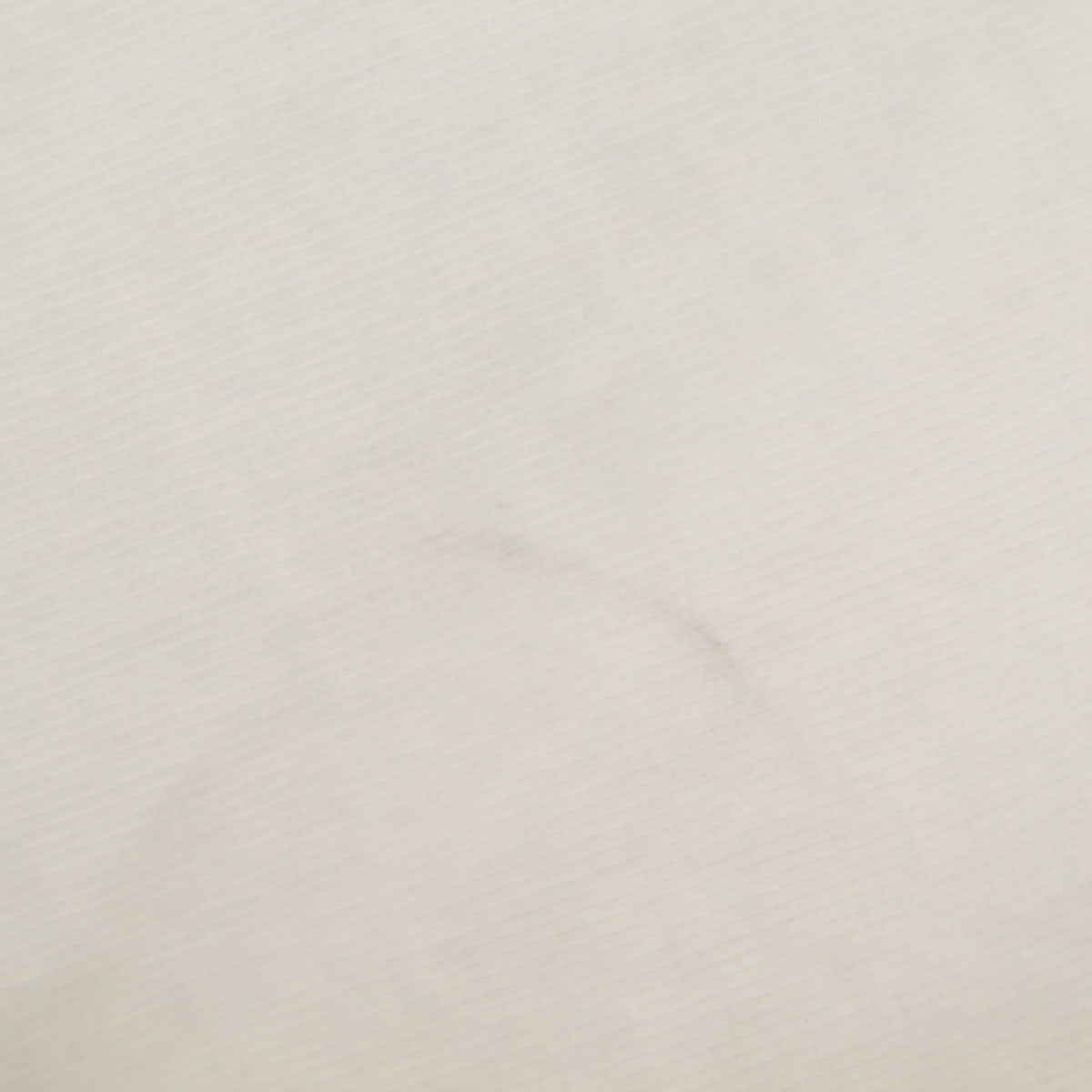 FRUIT OF THE LOOM フルーツオブザルーム 90s USA製 オールド MAINE 半袖 Tシャツ L ホワイト シングルステッチ メンズ