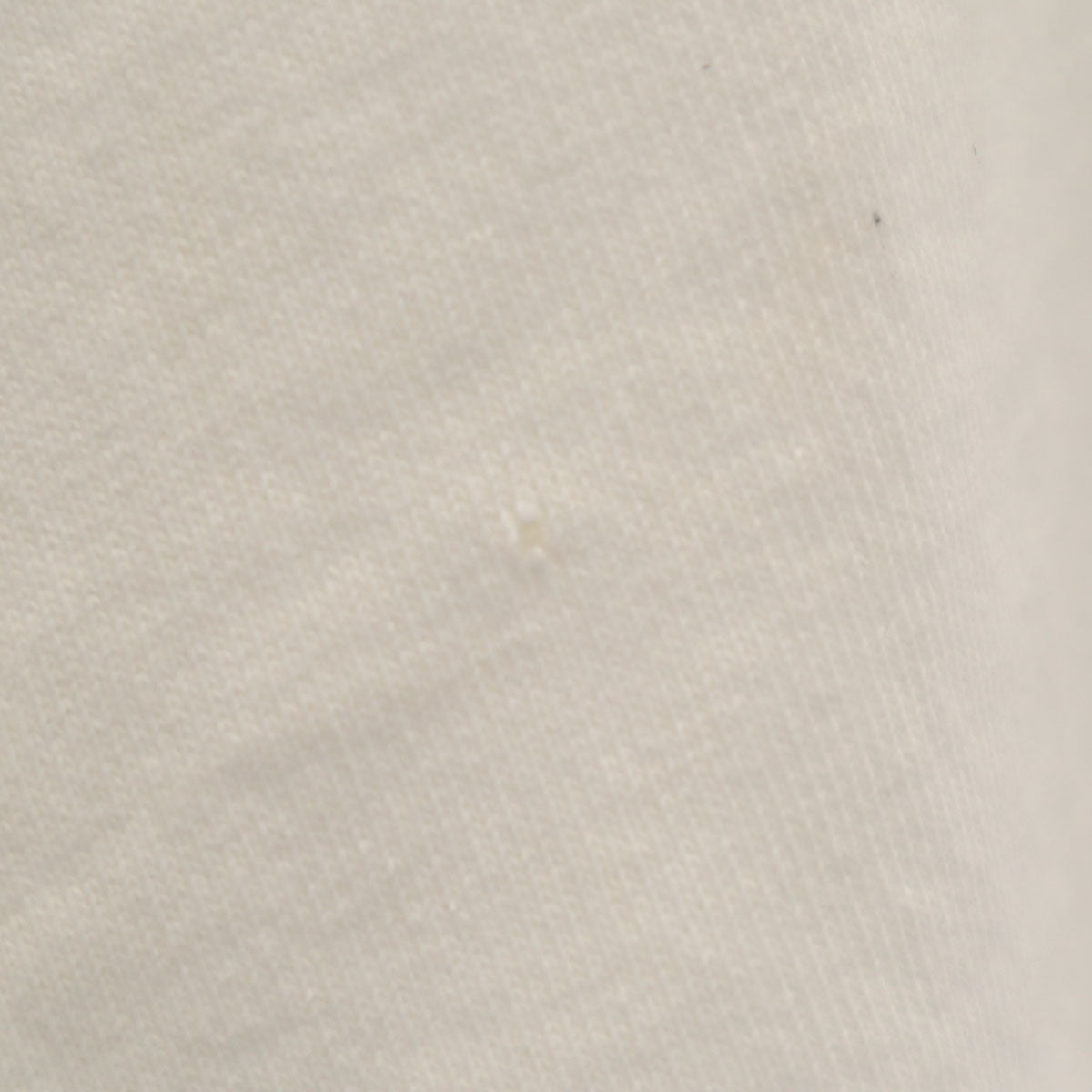 FRUIT OF THE LOOM フルーツオブザルーム 90s USA製 オールド MAINE 半袖 Tシャツ L ホワイト シングルステッチ メンズ