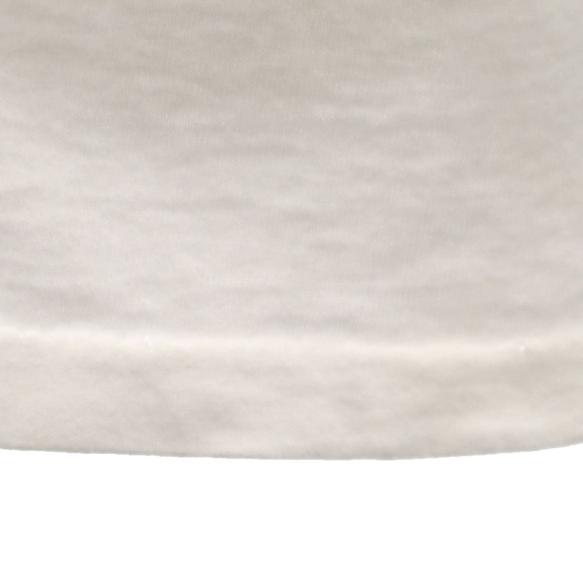 Quiksilver クイックシルバー USA製 バックロゴ 半袖 Tシャツ L ホワイト シングルステッチ メンズ