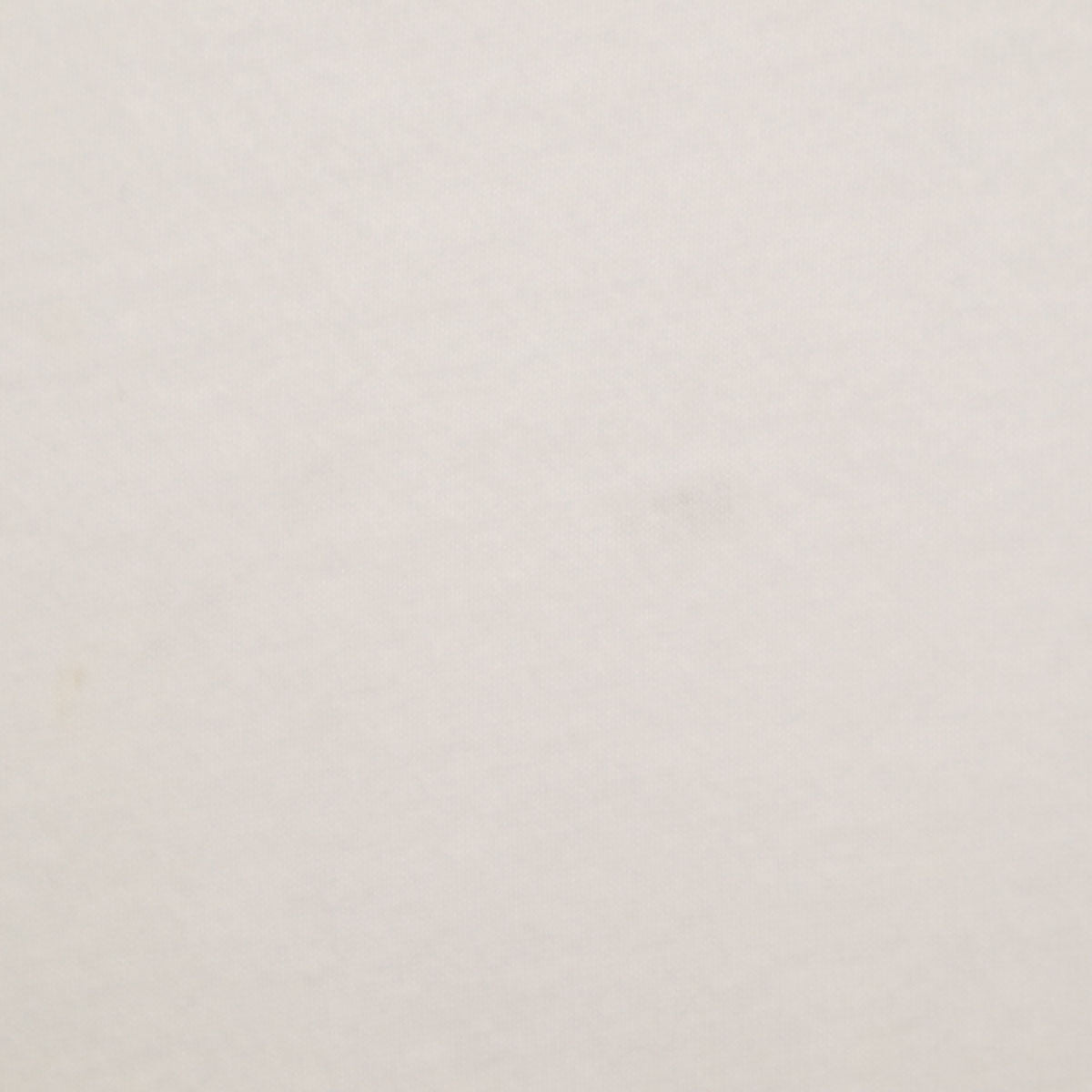 XLARGE エクストララージ 半袖 Tシャツ L ホワイト メンズ