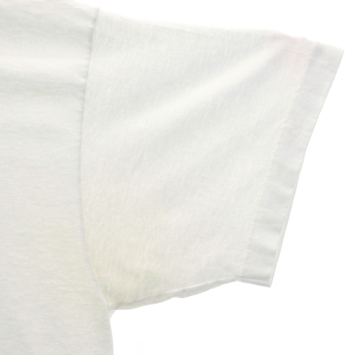 FRUIT OF THE LOOM BEST フルーツオブザルーム ベスト 90s オールド シュナウザー プリント 半袖 Tシャツ XL ホワイト シングルステッチ 犬 ドッグ メンズ