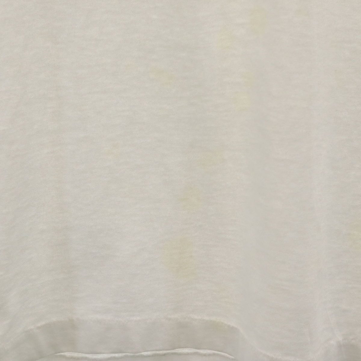 FRUIT OF THE LOOM BEST フルーツオブザルーム ベスト 90s オールド シュナウザー プリント 半袖 Tシャツ XL ホワイト シングルステッチ 犬 ドッグ メンズ