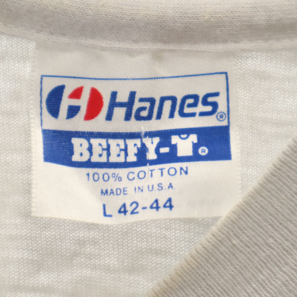 Hanes ヘインズ 80s USA製 ヴィンテージ カヤック プリント 半袖 Tシャツ L グレー BEEFY-T シングルステッチ メンズ
