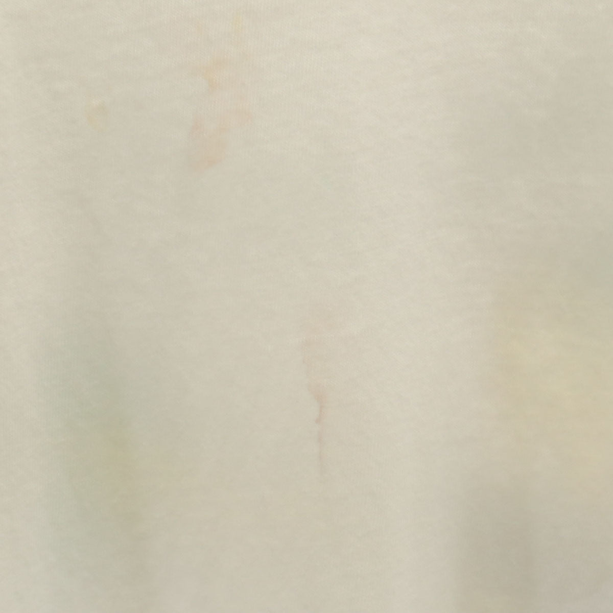 Hanes ヘインズ 半袖 Tシャツ L ホワイト シングルステッチ メンズ