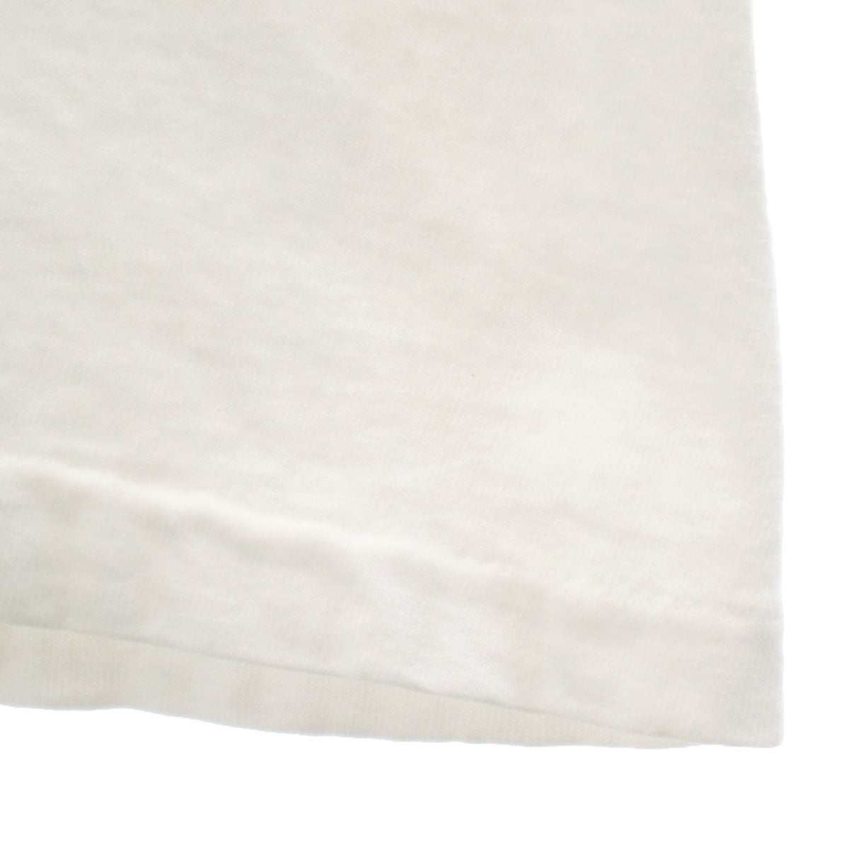 Hanes ヘインズ 半袖 Tシャツ L ホワイト シングルステッチ メンズ