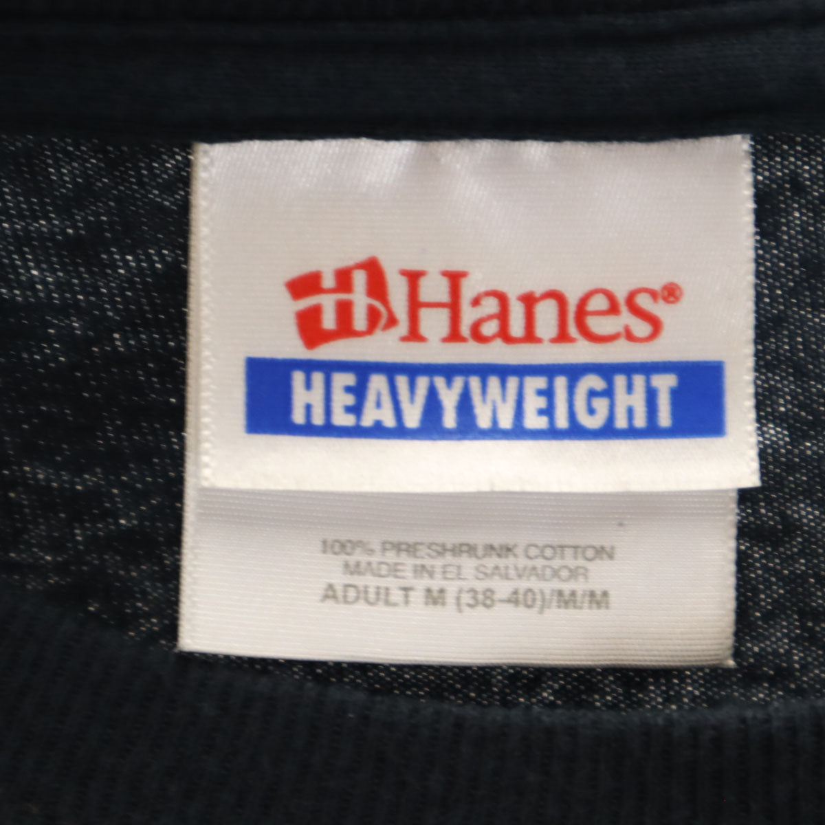 Hanes ヘインズ ラム・オブ・ゴッド 半袖 Tシャツ M ブラック系 ヘヴィメタルバンド Lamb of God メンズ