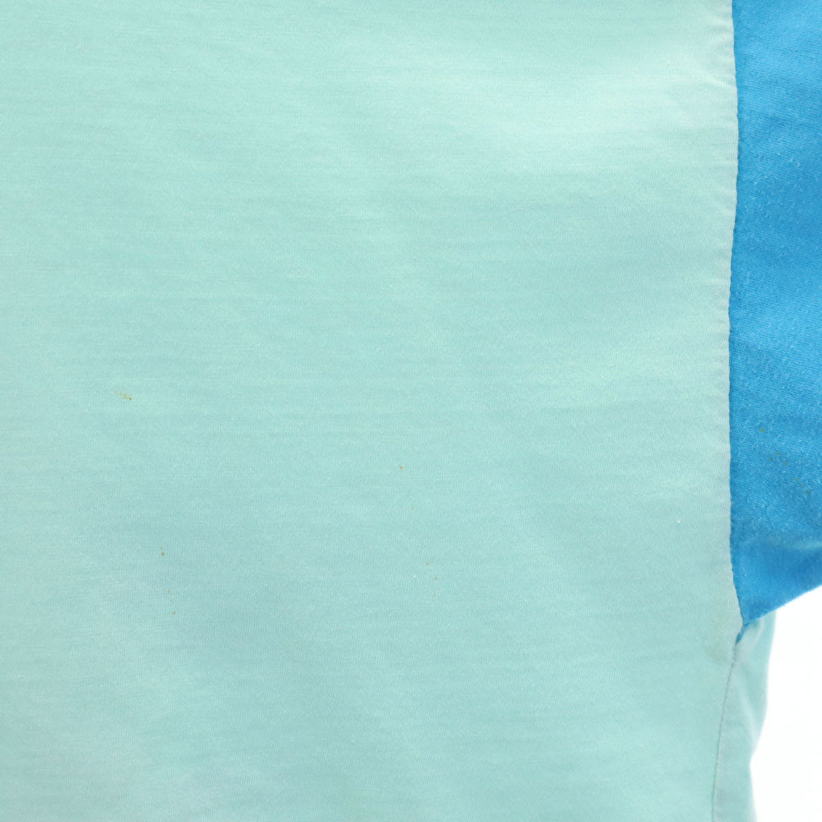 AMERICAN WEAR アメリカンウェア ミニーマウス 半袖 Tシャツ ミント系 Disney ディズニー キャラクター シングルステッチ メンズ