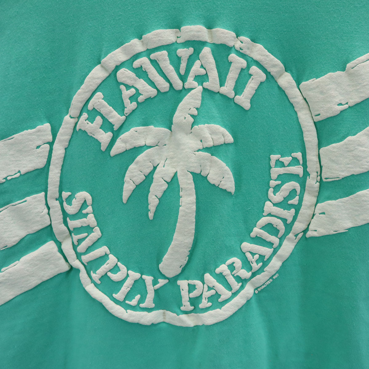 Hanes ヘインズ 90s USA製 オールド 半袖 Tシャツ M グリーン系 メンズ