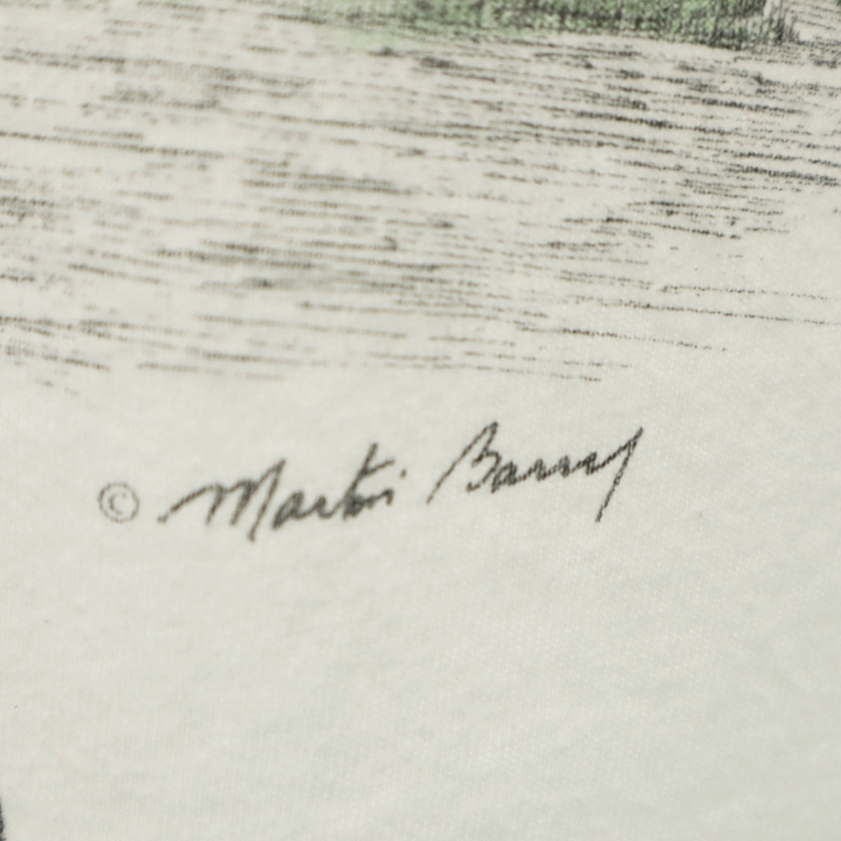 Hanes ヘインズ 90s USA製 オールド 半袖 Tシャツ XL 白 BEEFY-T シングルステッチ メンズ