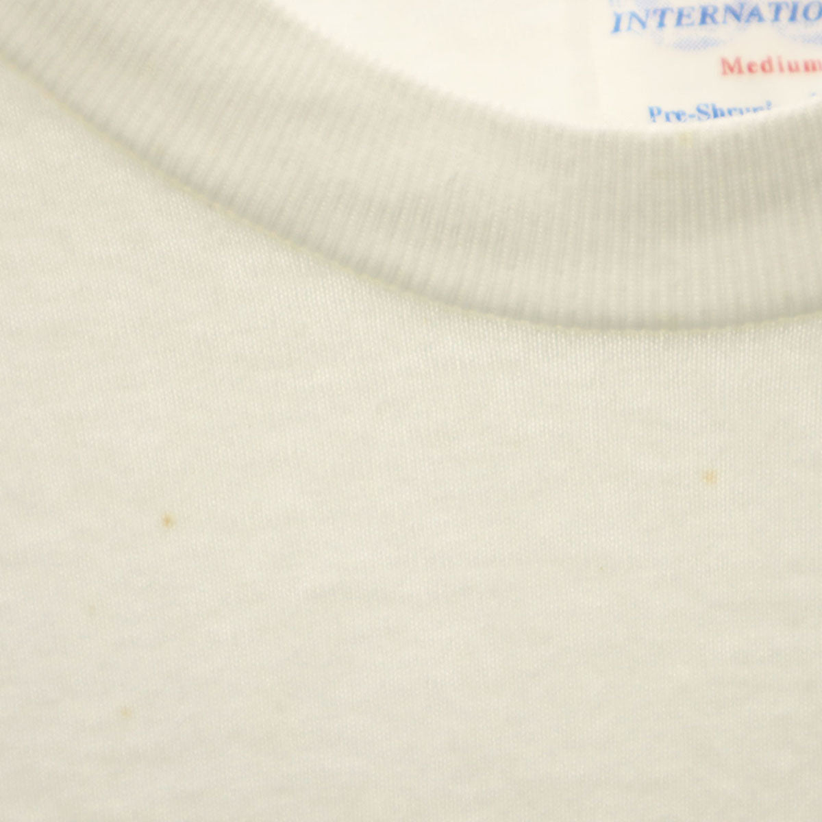 LE PAYS INTERNATIONAL 90s USA製 オールド 星条旗 半袖 Tシャツ M 白 シングルステッチ メンズ