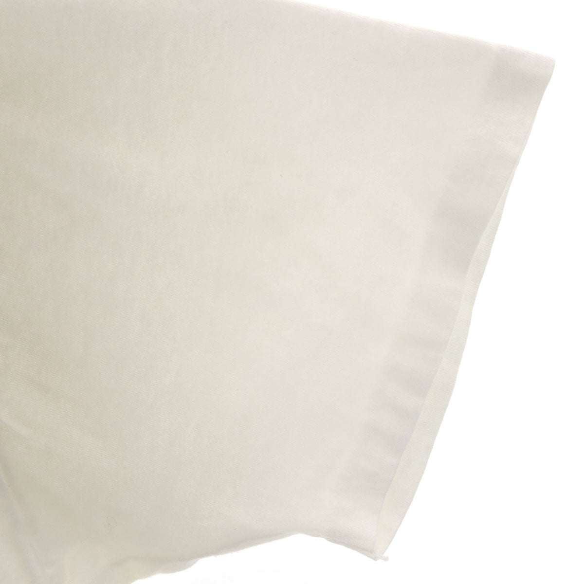 Hanes ヘインズ 90s USA製 オールド 半袖 BEEFY-T Tシャツ XL ホワイト系 シングルステッチ メンズ