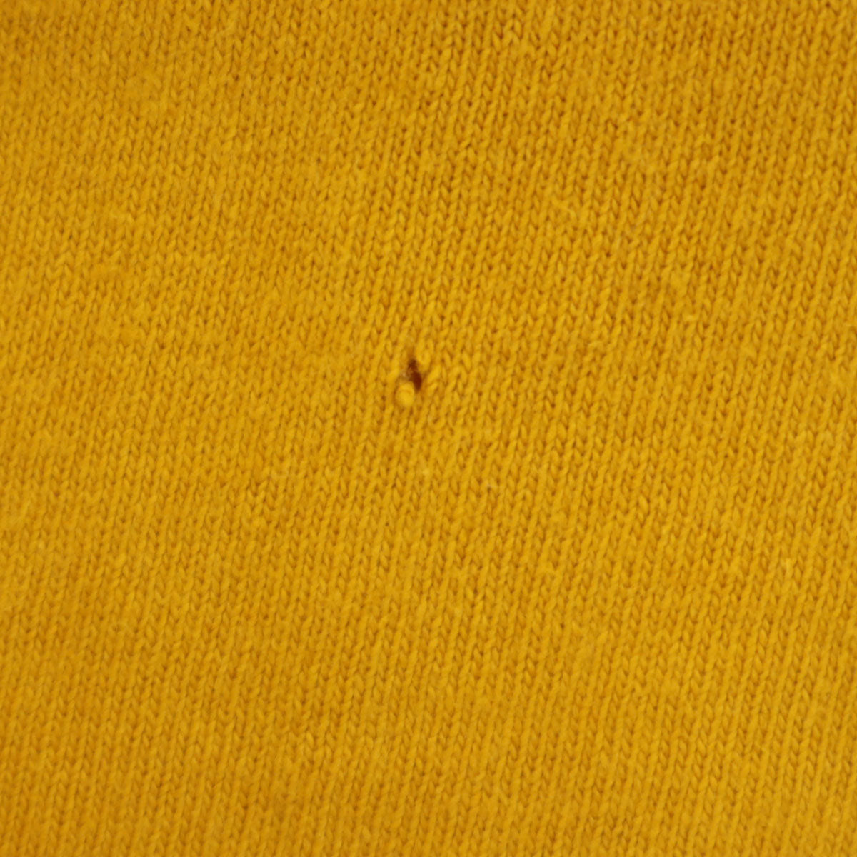 Champion チャンピオン 90s USA製 オールド 青タグ 半袖 Tシャツ M イエロー系 メンズ