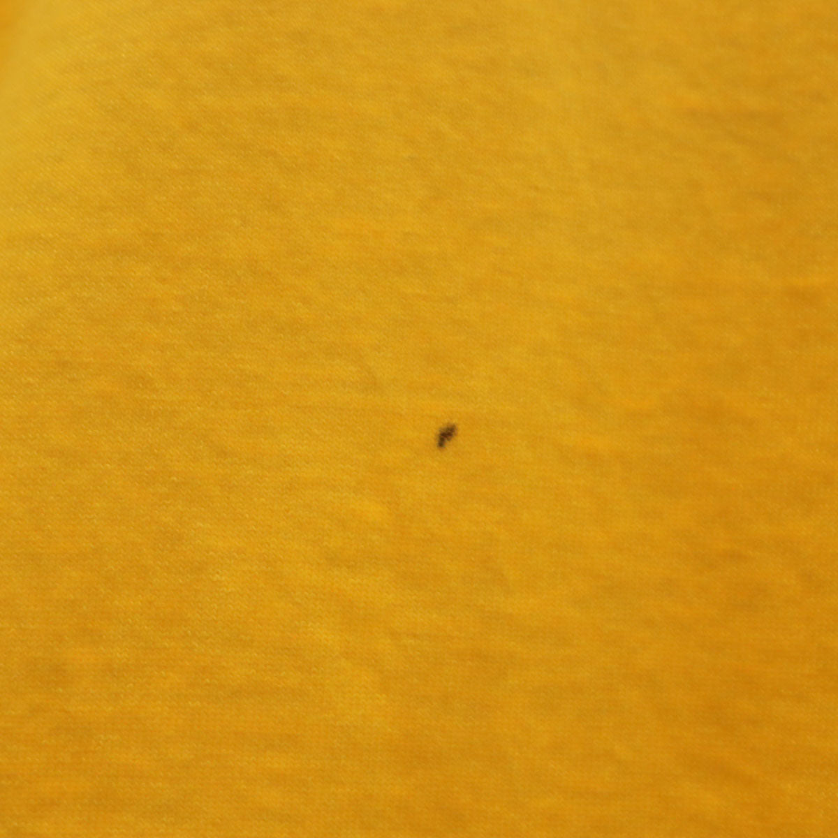 JERZEES ジャージーズ 90s USA製 オールド 半袖 Tシャツ XL イエロー系 メンズ