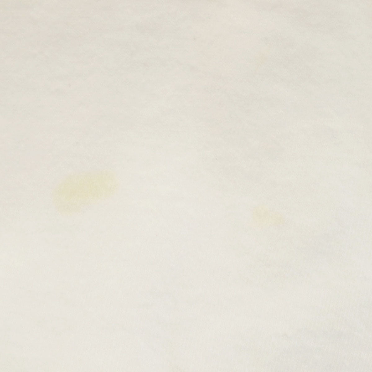 FRUIT OF THE LOOM フルーツオブザルーム 90s カナダ製 オールド 花プリント 半袖 Tシャツ XL ホワイト シングルステッチ メンズ