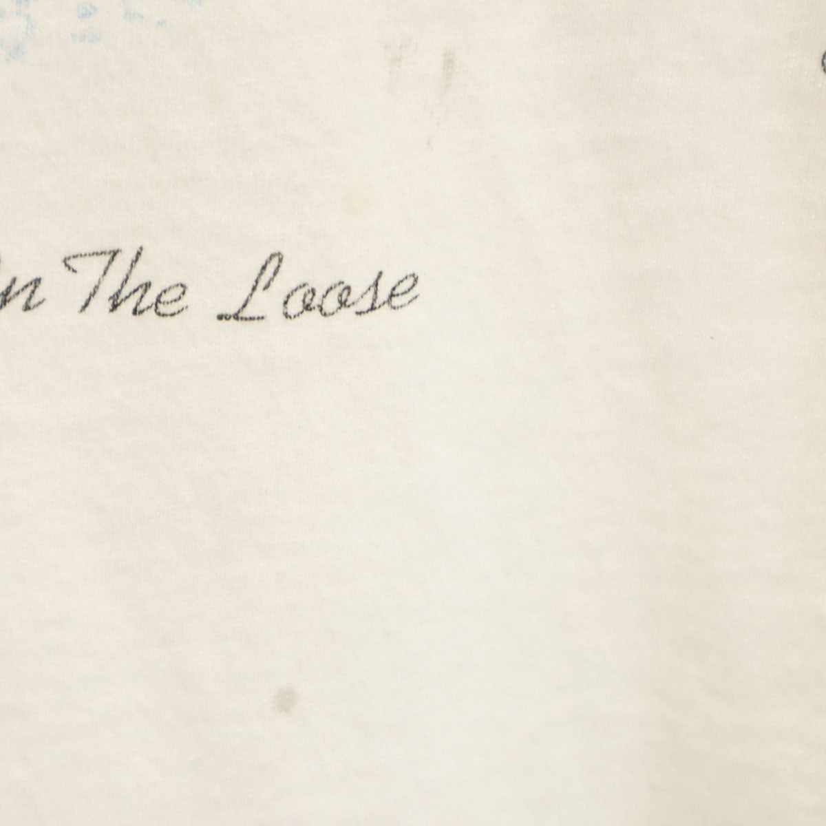 FRUIT OF THE LOOM フルーツオブザルーム 90s USA製 オールド トナカイ プリント 半袖 Tシャツ XL ホワイト シングルステッチ メンズ