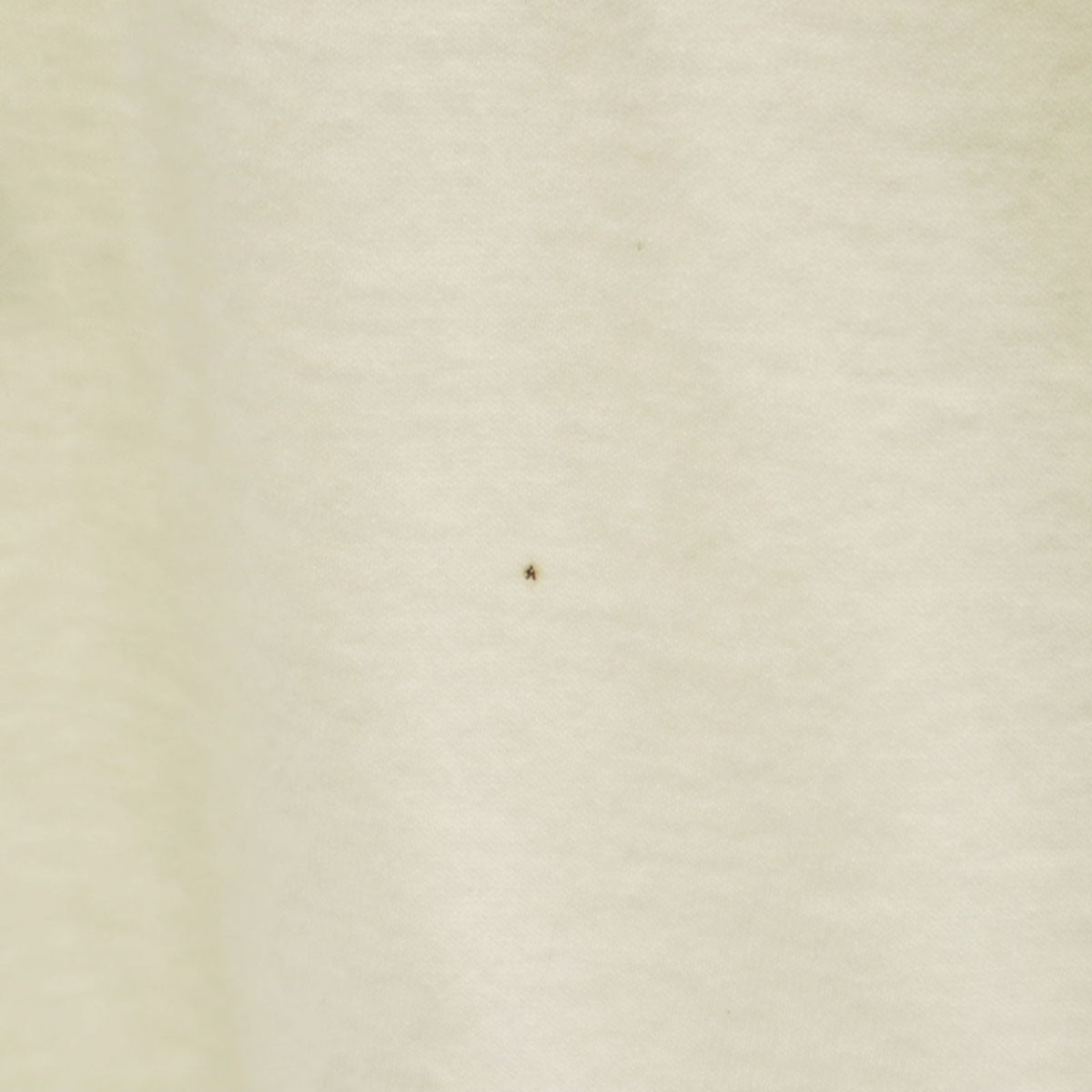 FRUIT OF THE LOOM BEST フルーツオブザルーム ベスト 90s USA製 オールド 半袖 Tシャツ XXL ホワイト ビッグサイズ メンズ