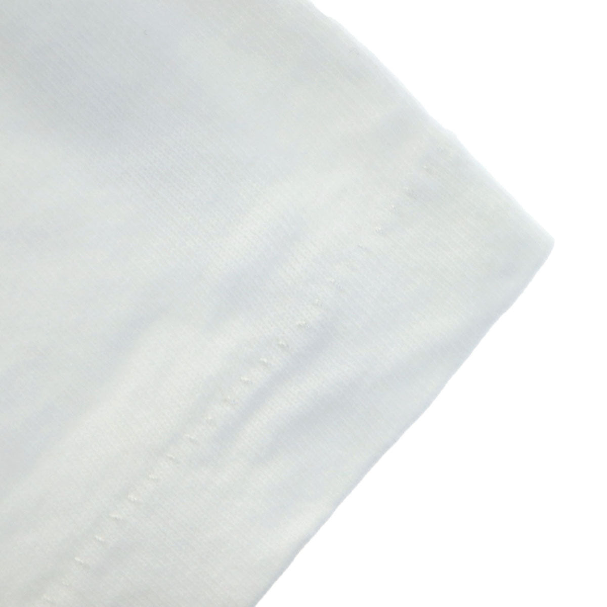 BOW VALLEY 90s カナダ製 オールド CANADA LIFE ベア 半袖 Tシャツ L ホワイト シングルステッチ アニマル くま メンズ