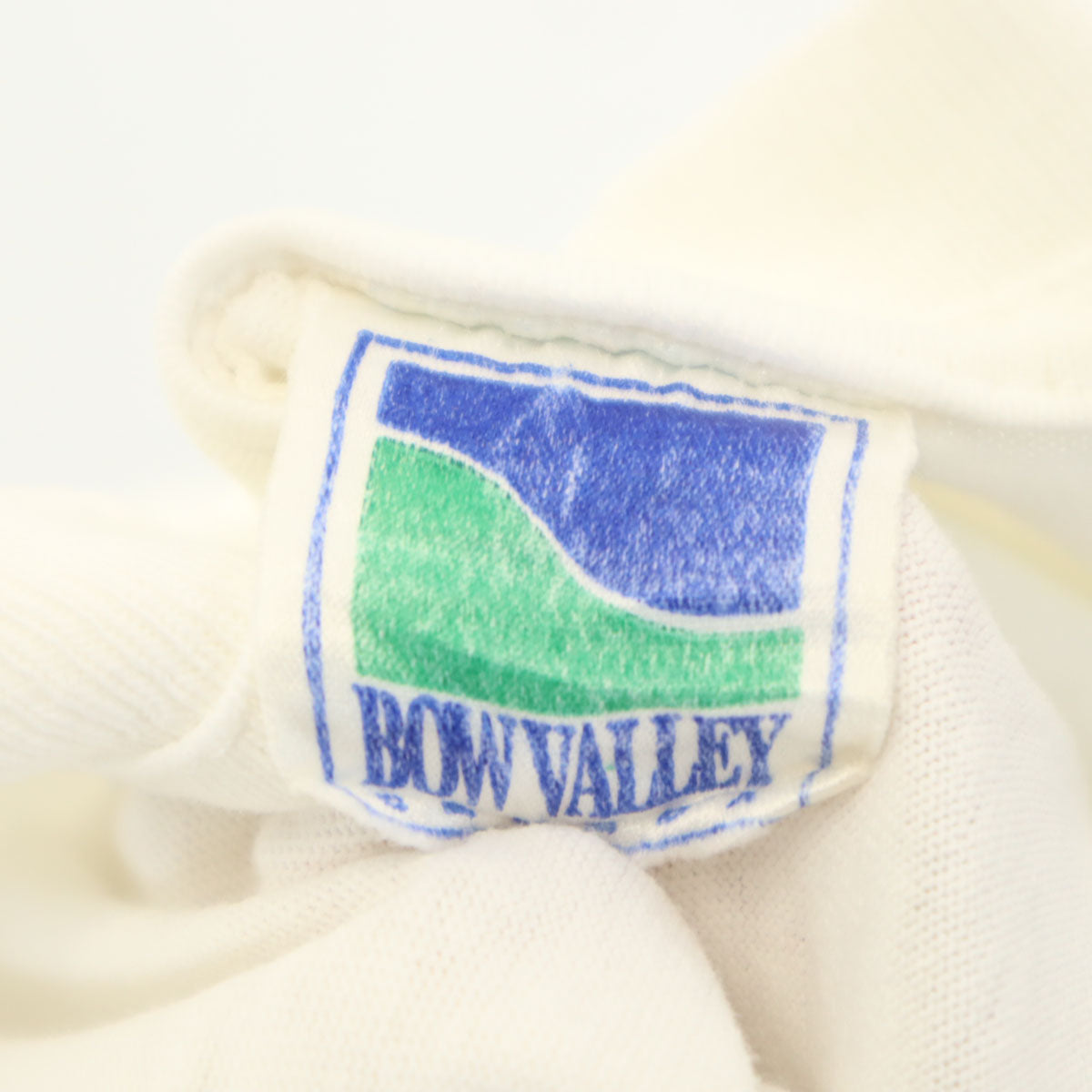 BOW VALLEY 90s カナダ製 オールド CANADA LIFE ベア 半袖 Tシャツ L ホワイト シングルステッチ アニマル くま メンズ