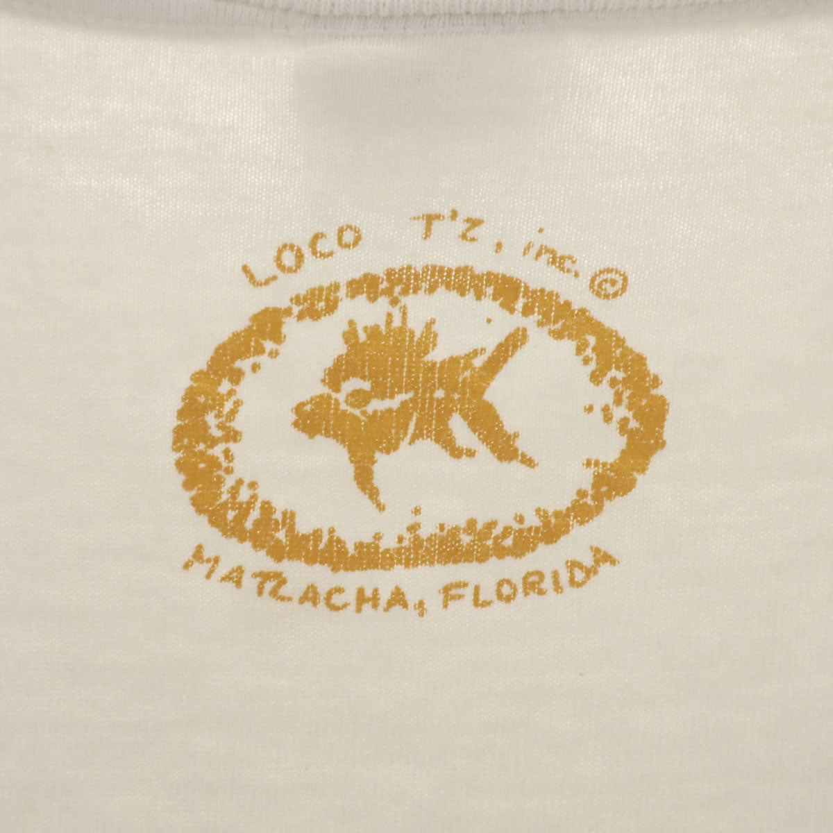 anvil アンヴィル 90s USA製 オールド アルマジロ プリント 半袖 Tシャツ XL オフホワイト シングルステッチ メンズ