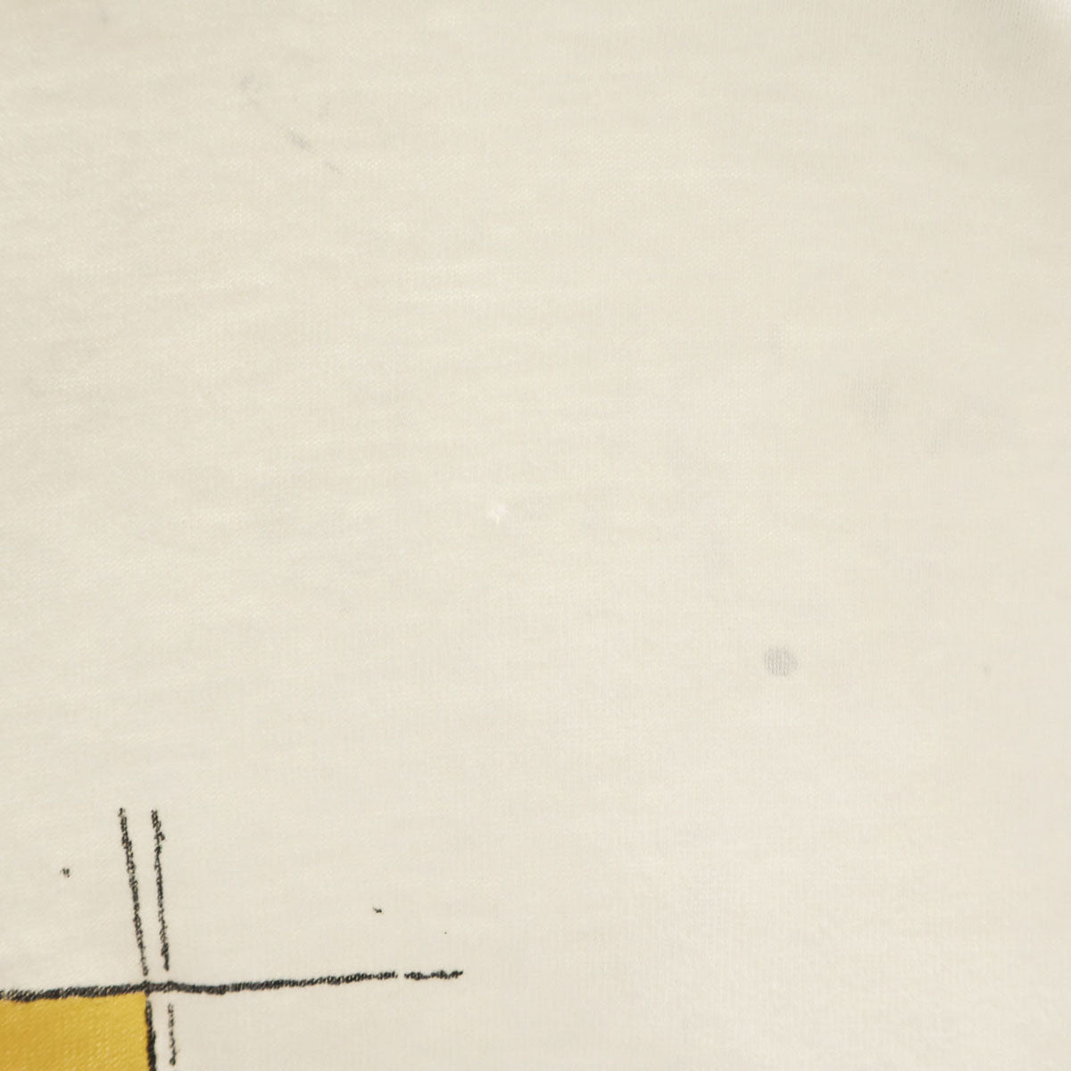 anvil アンヴィル 90s USA製 オールド アルマジロ プリント 半袖 Tシャツ XL オフホワイト シングルステッチ メンズ