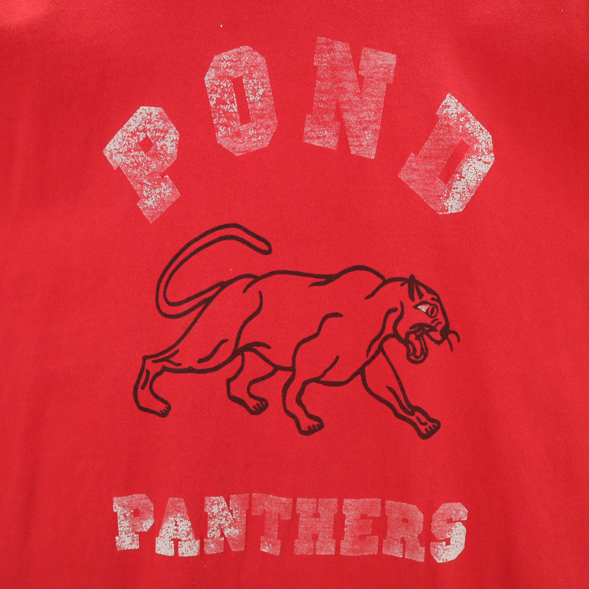 FRUIT OF THE LOOM フルーツオブザルーム 90s USA製 オールド パンサー プリント 半袖 Tシャツ XXL レッド シングルステッチ ビッグサイズ メンズ