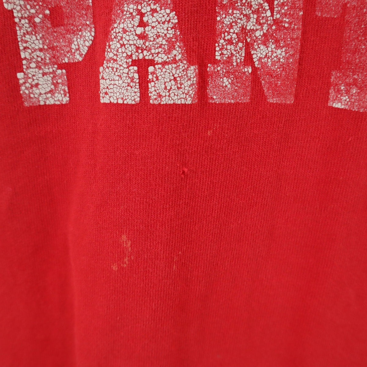 FRUIT OF THE LOOM フルーツオブザルーム 90s USA製 オールド パンサー プリント 半袖 Tシャツ XXL レッド シングルステッチ ビッグサイズ メンズ