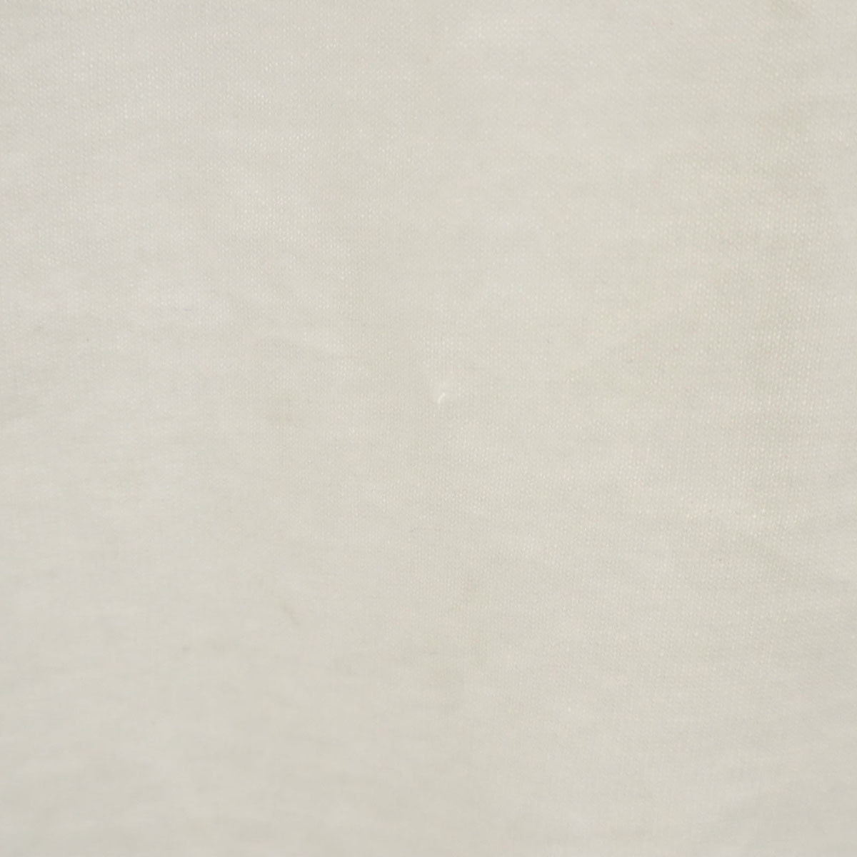 FRUIT OF THE LOOM BEST フルーツオブザルーム ベスト 90s USA製 オールド 半袖 Tシャツ L ホワイト シングルステッチ メンズ