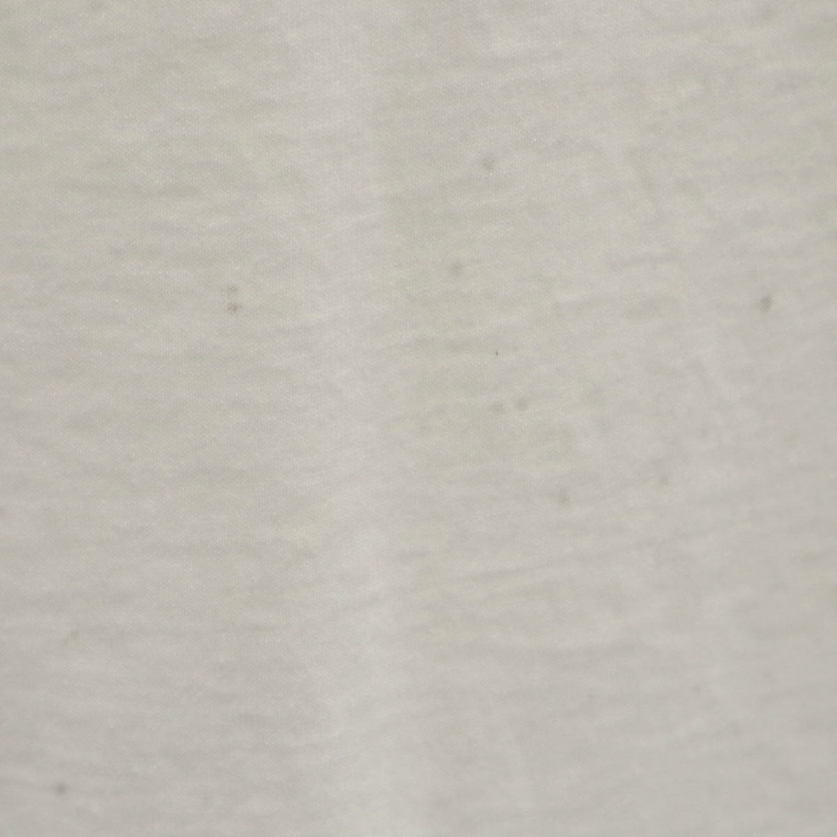 FRUIT OF THE LOOM BEST フルーツオブザルーム ベスト 90s オールド バックプリント コンチネンタル航空 チェース銀行 半袖 Tシャツ XL ホワイト 企業モノ メンズ