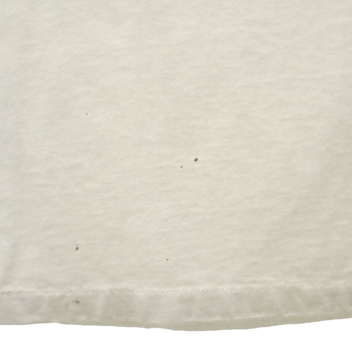 90s オールド イーグル プリント 半袖 Tシャツ オフホワイト シングルステッチ メンズ