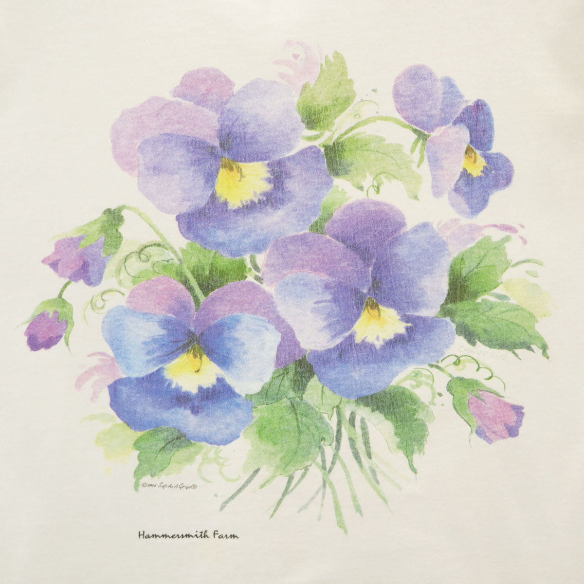 GRAPE グレープ 90s USA製 オールド 半袖 Tシャツ L オフホワイト シングルステッチ レディース