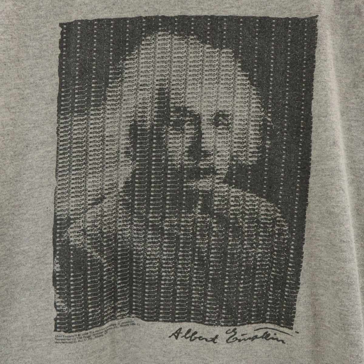 GILDAN ギルダン 90s オールド アルベルト アインシュタイン ノースリーブ Tシャツ M グレー メンズ