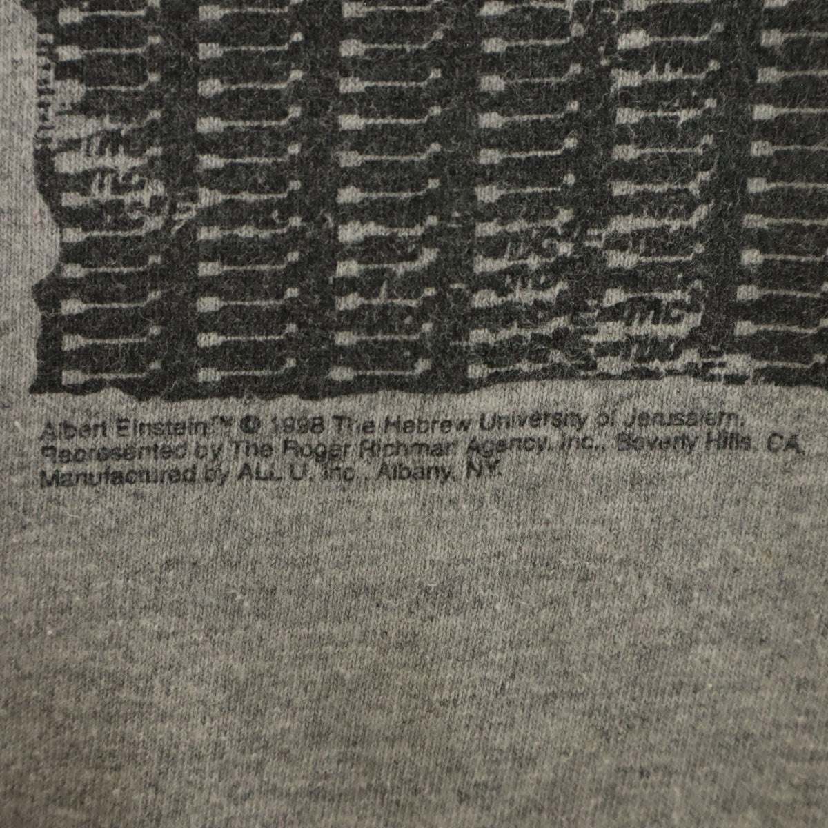 GILDAN ギルダン 90s オールド アルベルト アインシュタイン ノースリーブ Tシャツ M グレー メンズ