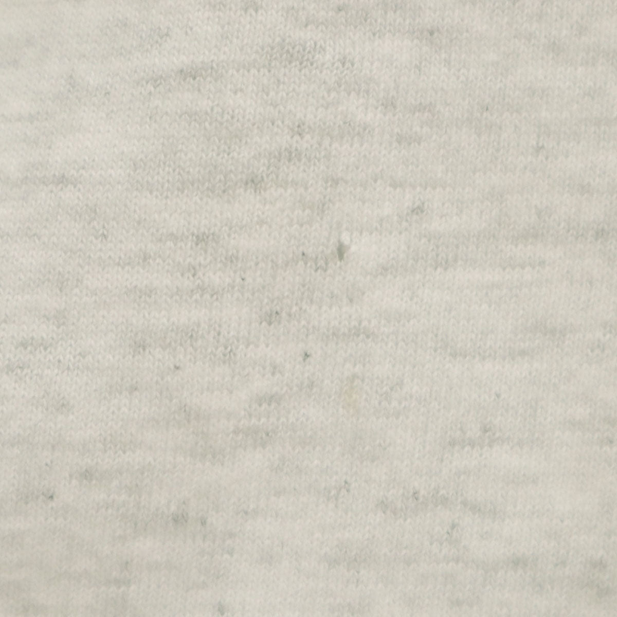 FRUIT OF THE LOOM フルーツオブザルーム 90s USA製 オールド ミュージアム 恐竜 半袖 Tシャツ M グレー シングルステッチ メンズ