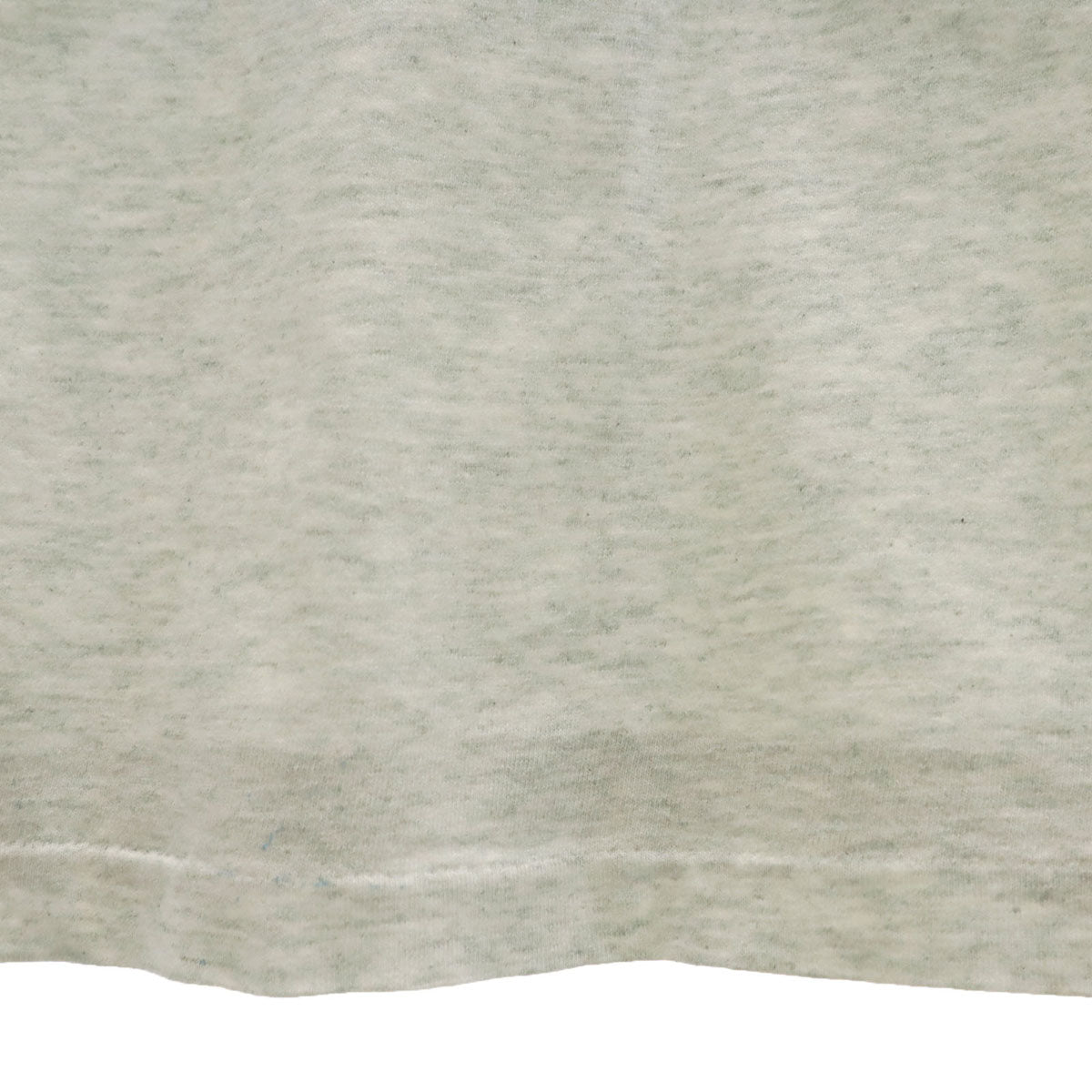 FRUIT OF THE LOOM フルーツオブザルーム 90s USA製 オールド ミュージアム 恐竜 半袖 Tシャツ M グレー シングルステッチ メンズ