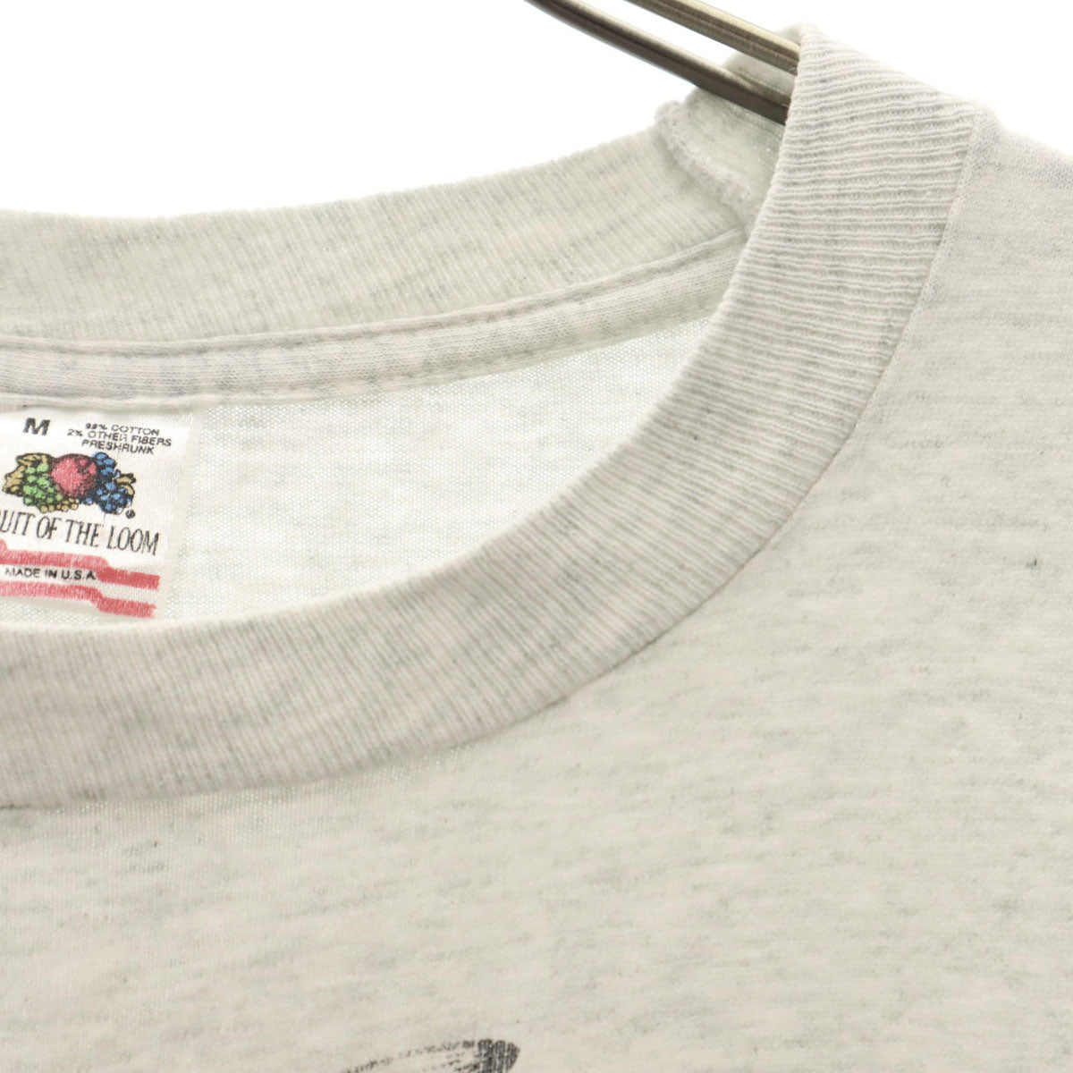 FRUIT OF THE LOOM フルーツオブザルーム 90s USA製 オールド ミュージアム 恐竜 半袖 Tシャツ M グレー シングルステッチ メンズ